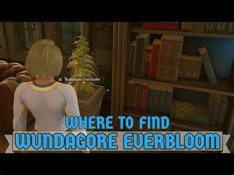 Every Wundagore Everbloom Location in Marvels。